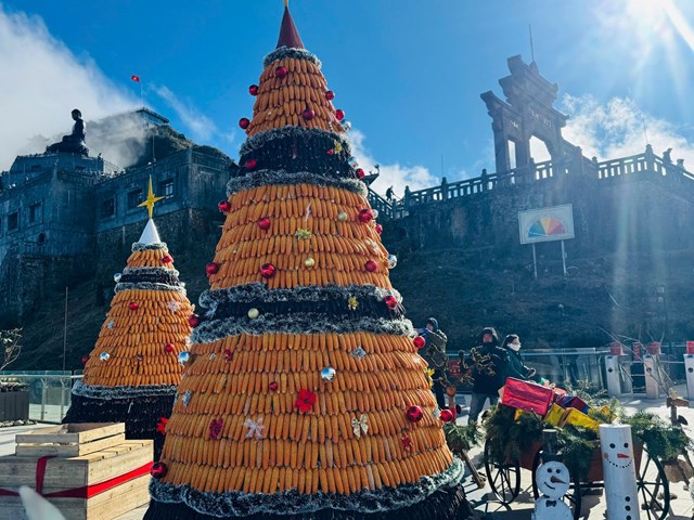 Fansipan xuất hiện tuyết rơi hiếm gặp giữa mùa đông - Ảnh 1